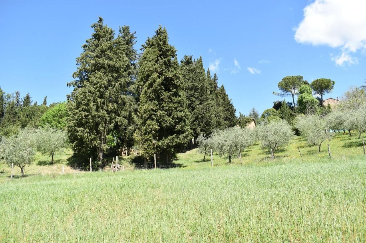 Villa Siena Exteriér fotografie